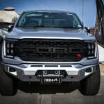 f150 bull bar